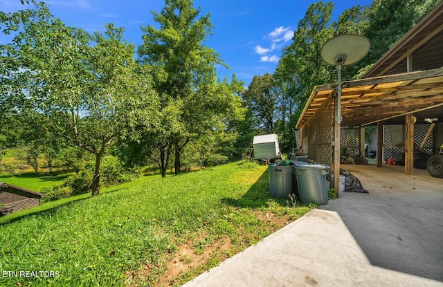 441 Morton Rd, Lafollette, TN 37766 - view of green lawn