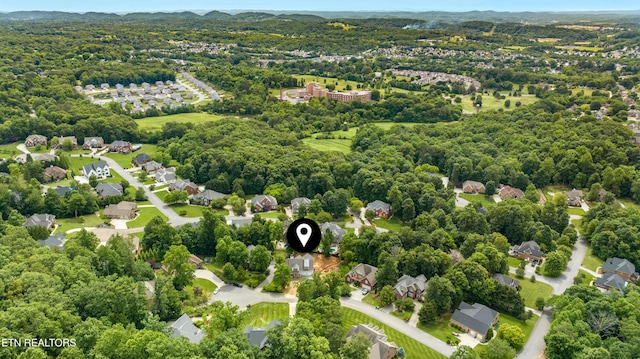 5222 Mccampbell Hill Ln, Knoxville, TN 37918 - photo 43