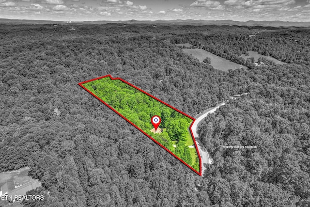 376 Old Holderford Rd, Kingston, TN 37763 - view of property location with a heavily wooded area and property parcel outlined