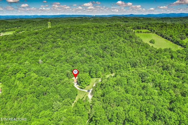 376 Old Holderford Rd, Kingston, TN 37763 - aerial view of a heavily wooded area