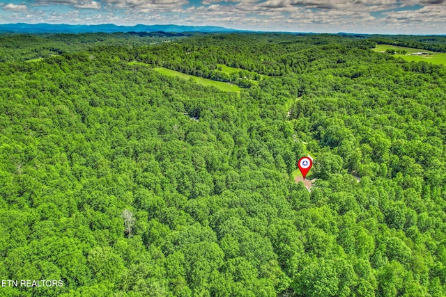 376 Old Holderford Rd, Kingston, TN 37763 - drone / aerial view of a forest