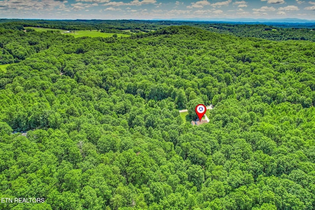 376 Old Holderford Rd, Kingston, TN 37763 - bird's eye view of a heavily wooded area