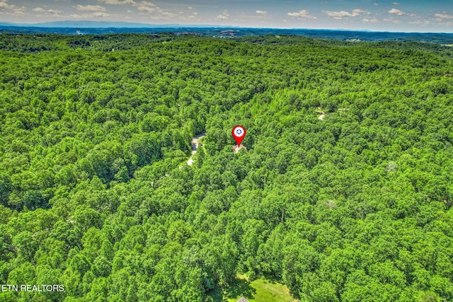 376 Old Holderford Rd, Kingston, TN 37763 - bird's eye view of a heavily wooded area
