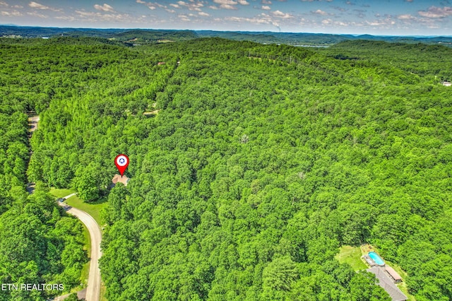 376 Old Holderford Rd, Kingston, TN 37763 - aerial view of a forest