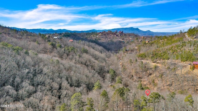 1513 Tyler Way, Sevierville, TN 37876 - mountain view