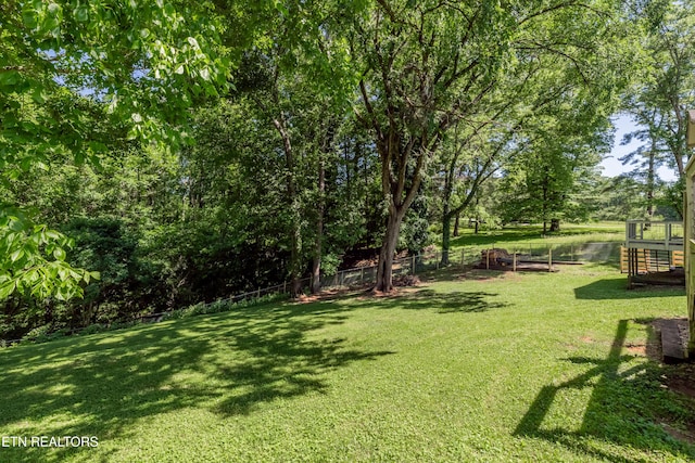 1932 Duncan Rd, Knoxville, TN 37919 - view of yard