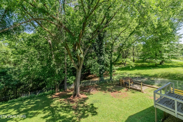1932 Duncan Rd, Knoxville, TN 37919 - view of yard