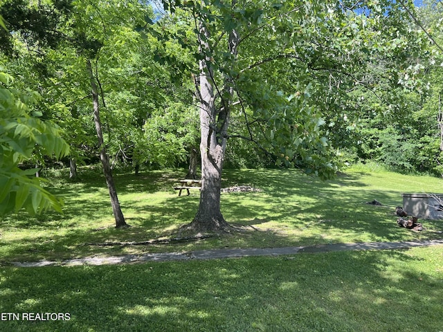 2045 Winona Rd, Huntsville, TN 37756 - view of green lawn