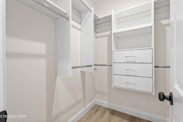 1287 Lori Ellen Ct, Sevierville, TN 37876 - walk in closet with wood finished floors