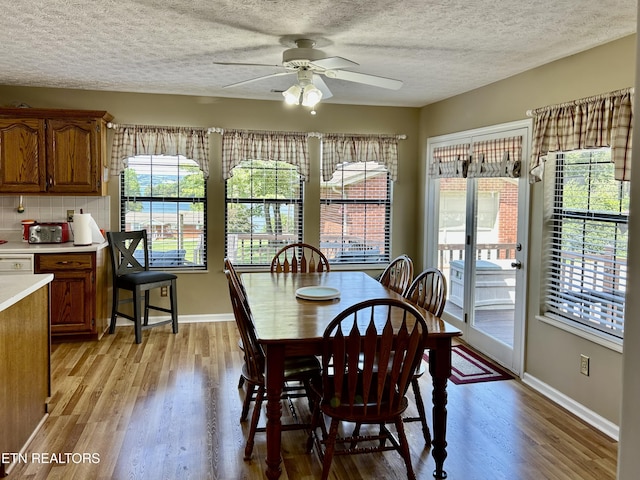 762 Commanche Dr, Jefferson City, TN 37760 - dining room with light wood-style floors, ceiling fan, a textured ceiling, plenty of natural light, and baseboards
