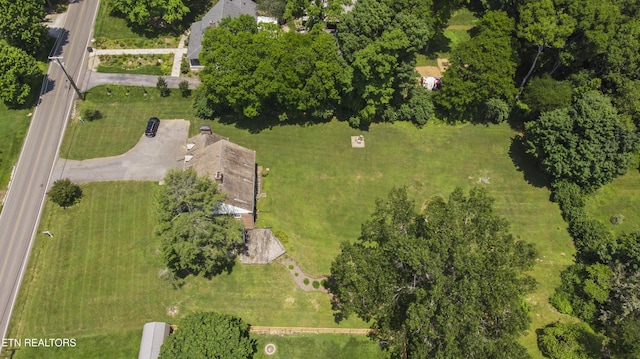 5012 Beverly Rd, Knoxville, TN 37918 - photo 11