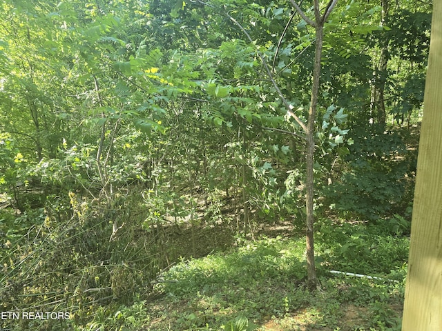 3238 Four M Cir, Kodak, TN 37764 - view of nature