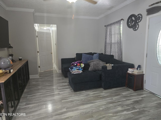 3238 Four M Cir, Kodak, TN 37764 - living area featuring wood finished floors, ornamental molding, a textured ceiling, and baseboards
