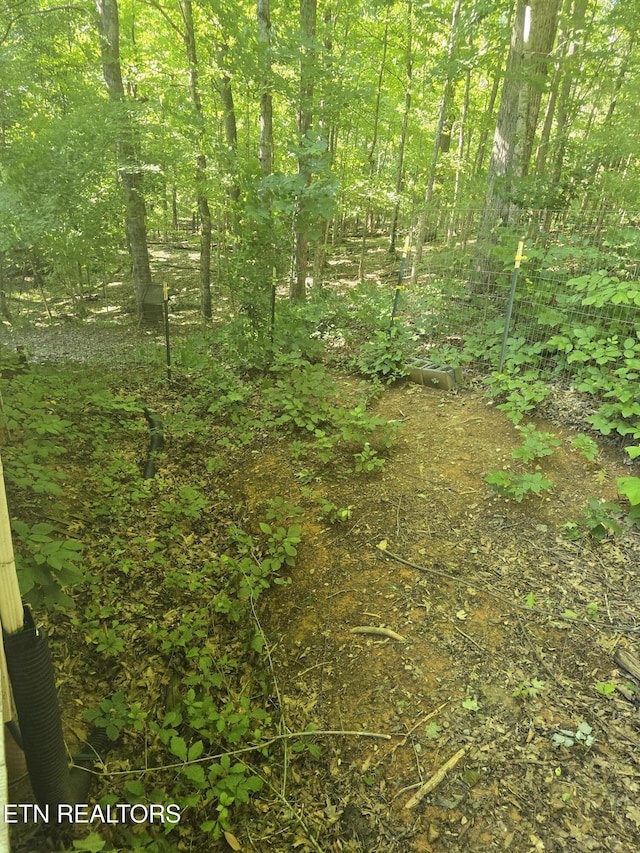 3238 Four M Cir, Kodak, TN 37764 - view of undeveloped land