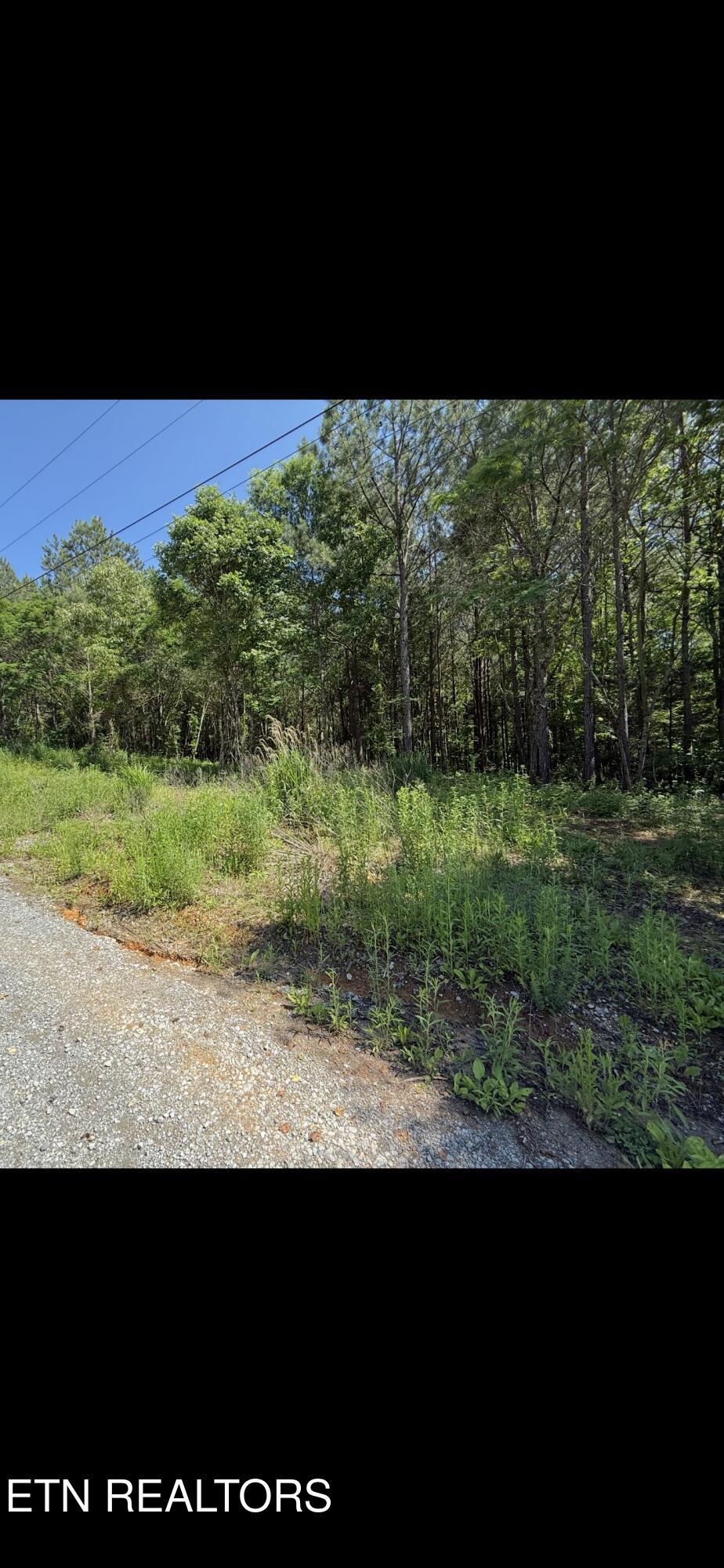 Robbies Ln, Decatur, TN 37322