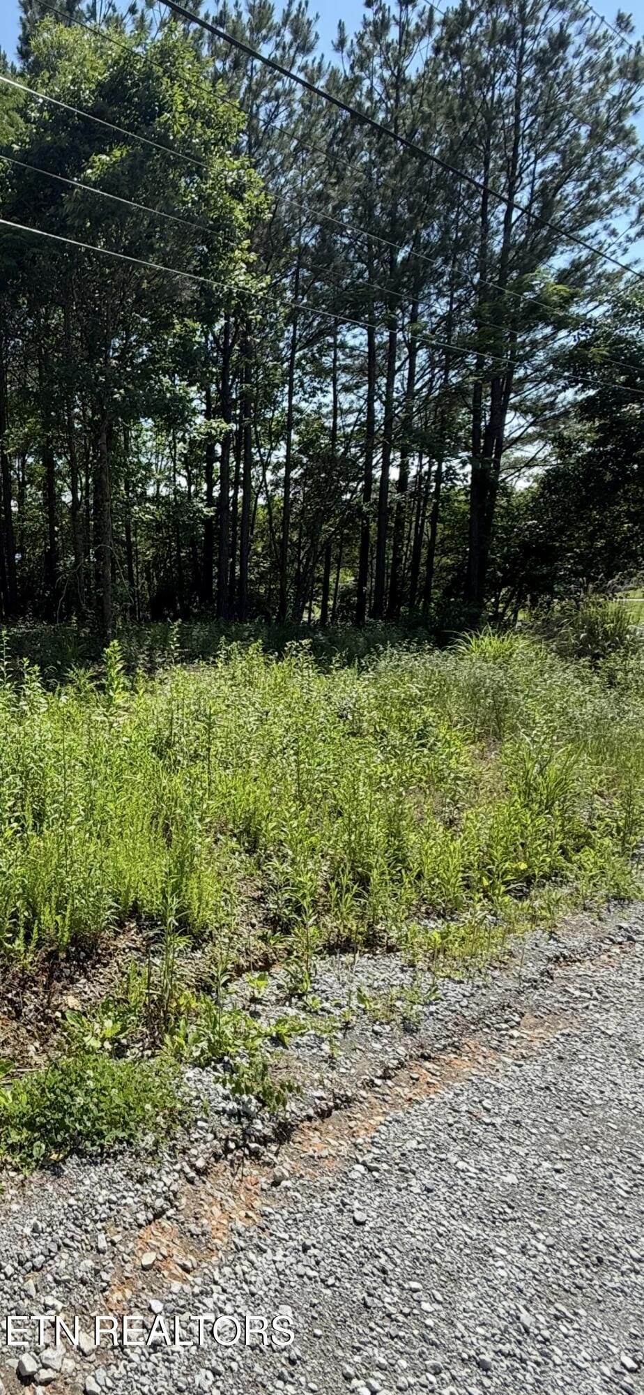 Robbies Ln, Decatur, TN 37322