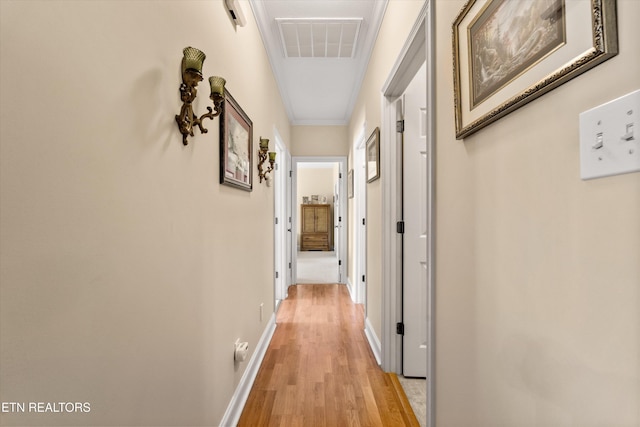 7830 Thomas Henry Way, Knoxville, TN 37938 - hallway featuring light wood finished floors, baseboards, and crown molding