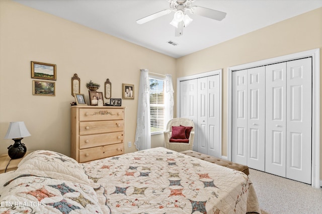 7830 Thomas Henry Way, Knoxville, TN 37938 - carpeted bedroom with two closets and ceiling fan