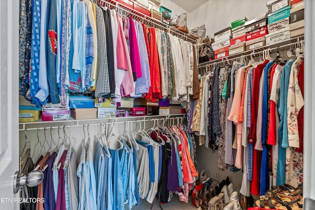 7830 Thomas Henry Way, Knoxville, TN 37938 - view of walk in closet