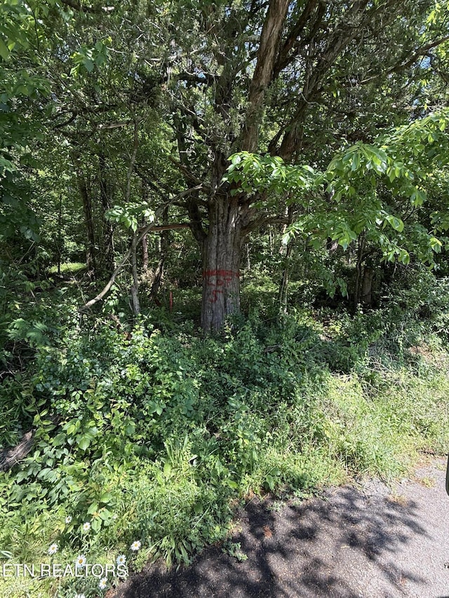Muddy Ln, Decatur, TN 37322