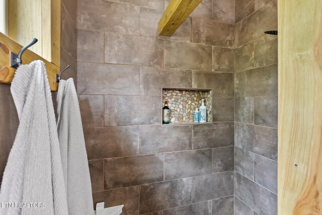 2115 Riverview Dr, Dandridge, TN 37725 - bathroom with tiled shower