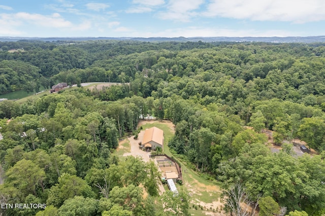 2115 Riverview Dr, Dandridge, TN 37725 - bird's eye view of a heavily wooded area