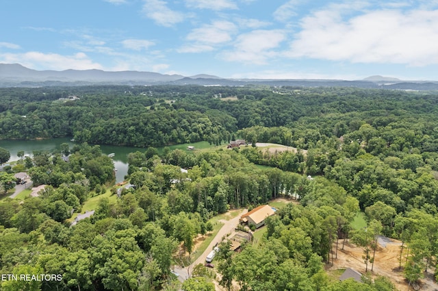 2115 Riverview Dr, Dandridge, TN 37725 - bird's eye view of a forest and a water and mountain view