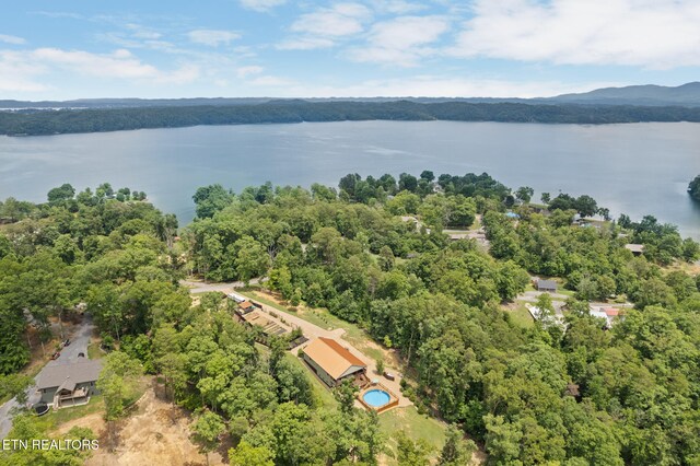 2115 Riverview Dr, Dandridge, TN 37725 - bird's eye view of a nearby body of water