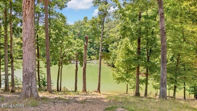 2115 Riverview Dr, Dandridge, TN 37725 - water view featuring a heavily wooded area