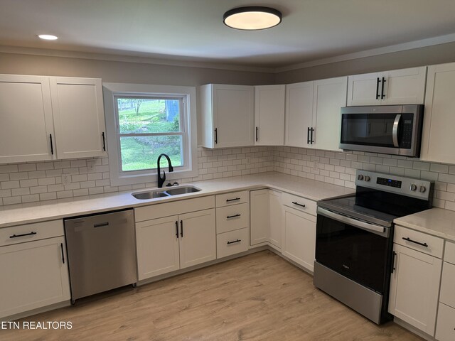 1808 Houstonia Dr, Knoxville, TN 37918 - photo 7