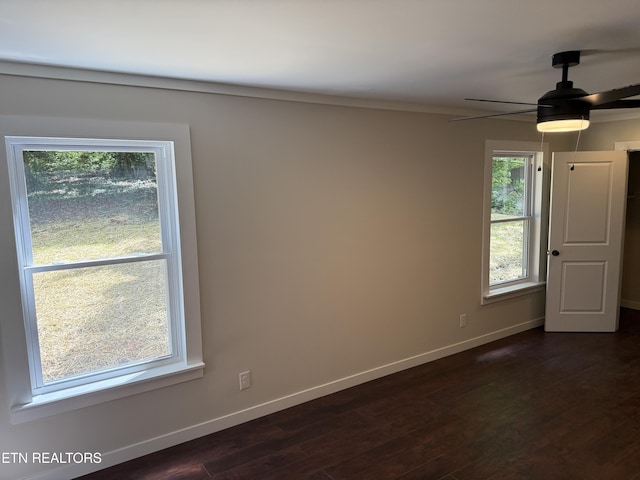 1808 Houstonia Dr, Knoxville, TN 37918 - photo 12
