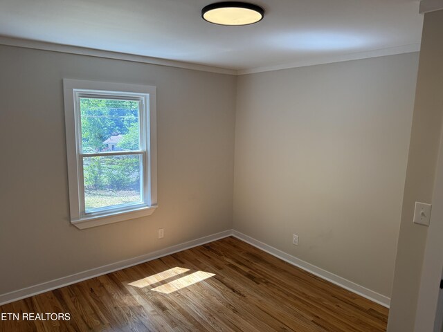 1808 Houstonia Dr, Knoxville, TN 37918 - photo 24