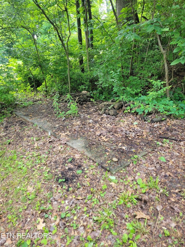 1403 Skyline Dr, New Market, TN 37820 - view of nature