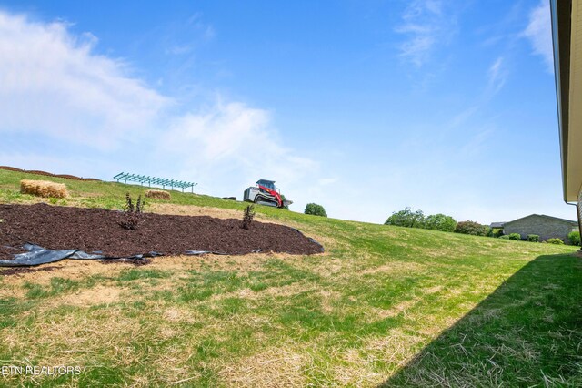294 Mountain Perkins Ln, Jacksboro, TN 37757 - view of grassy yard