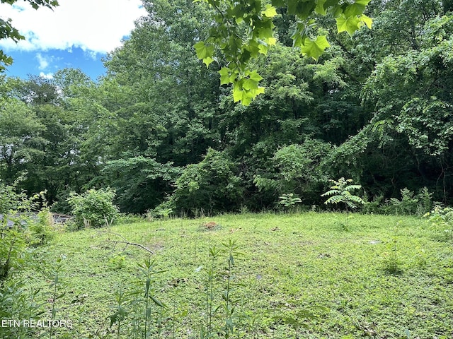 9109 Happy Ln, Oak Ridge, TN 37830 - photo 5