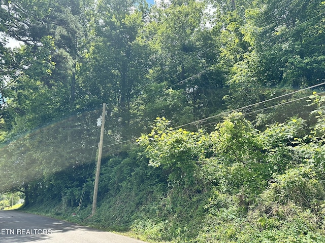9109 Happy Ln, Oak Ridge, TN 37830 - photo 4
