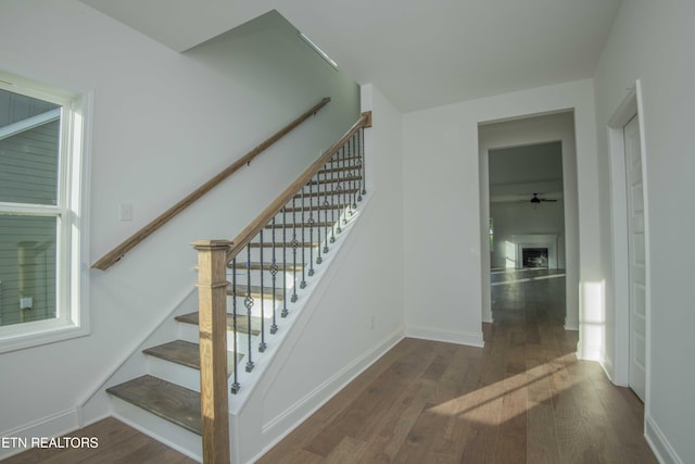 349 Ivey Farms Ln, Farragut, TN 37934 - staircase with wood-type flooring and a ceiling fan