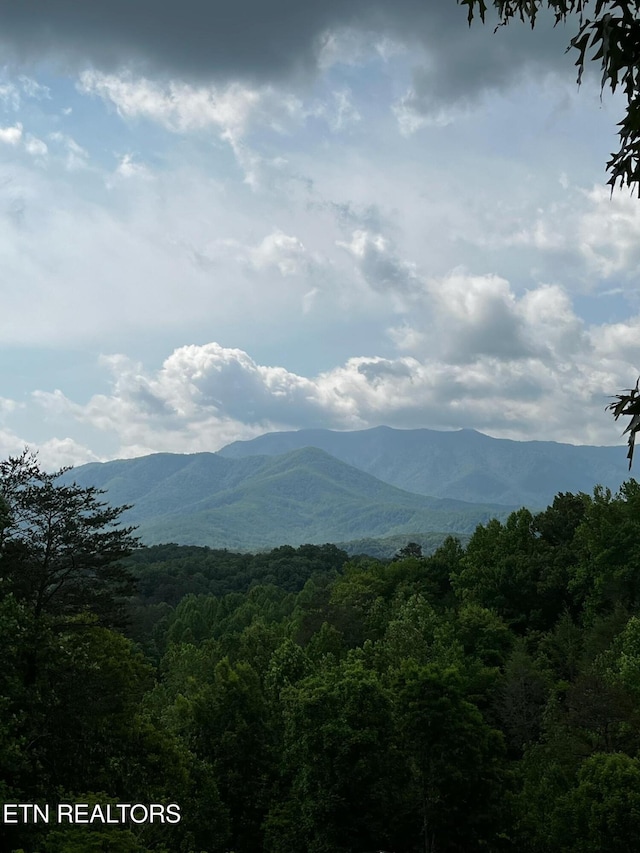 Vista Dr, Gatlinburg, TN 37738