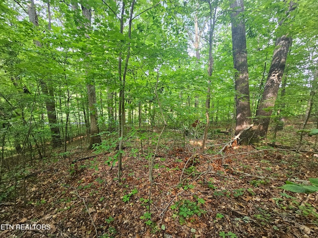 Cruze Rd, Powell, TN 37849 - photo 4