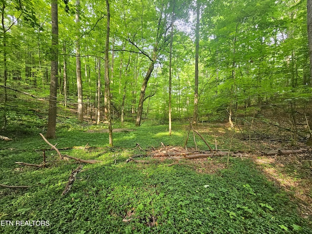 Cruze Rd, Powell, TN 37849 - photo 2