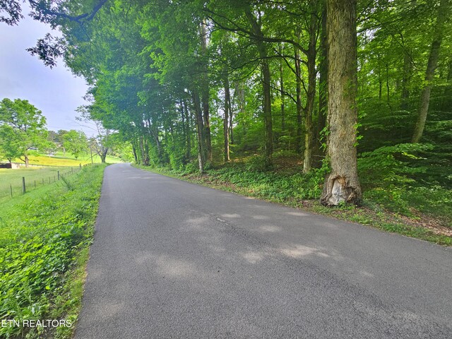 Cruze Rd, Powell, TN 37849 - photo 6