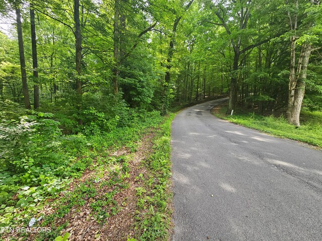 Cruze Rd, Powell, TN 37849 - photo 7