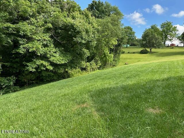 133 Coolidge Rd, Lafollette, TN 37766 - view of green lawn