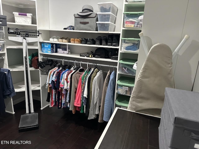 133 Coolidge Rd, Lafollette, TN 37766 - walk in closet featuring wood finished floors