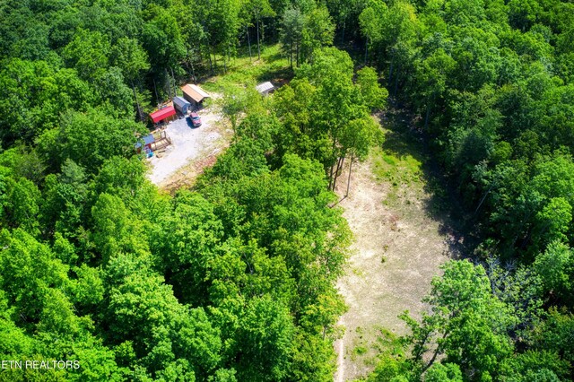 1185 Spruce Creek Dr, Jamestown, TN 38556 - photo 12