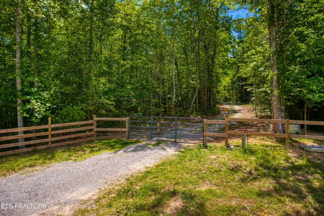 1185 Spruce Creek Dr, Jamestown, TN 38556 - photo 11