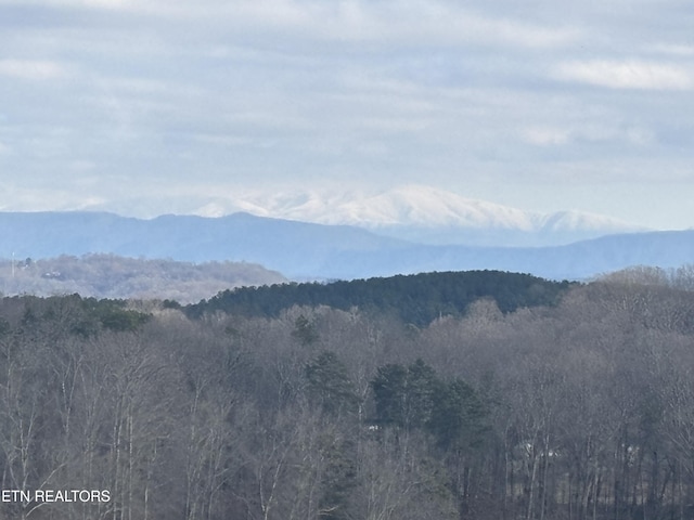 3101 Watson Rd, Loudon, TN 37774 - mountain view featuring a heavily wooded area