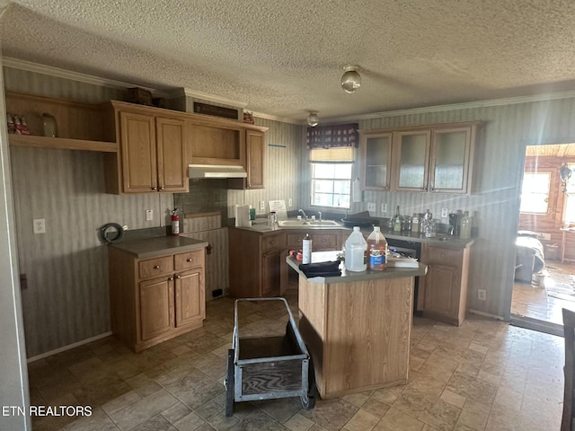 3101 Watson Rd, Loudon, TN 37774 - kitchen with ornamental molding, a sink, a center island, under cabinet range hood, and a textured ceiling
