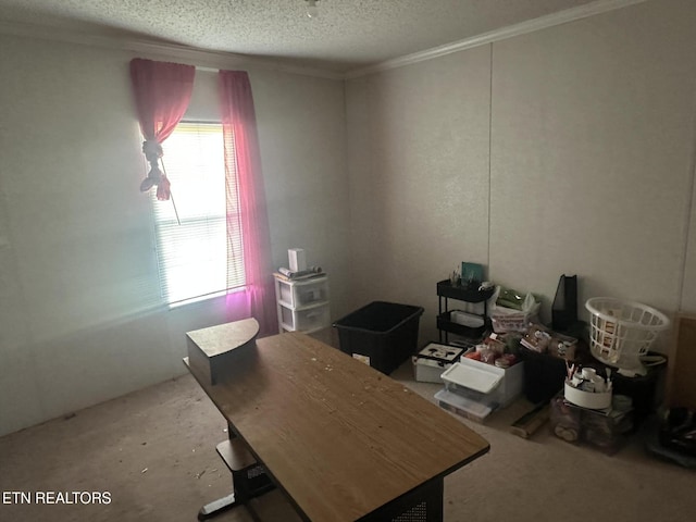 3101 Watson Rd, Loudon, TN 37774 - office area featuring ornamental molding and a textured ceiling