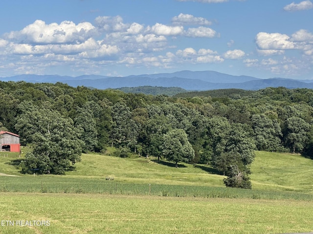 3101 Watson Rd, Loudon, TN 37774 - mountain view with a heavily wooded area